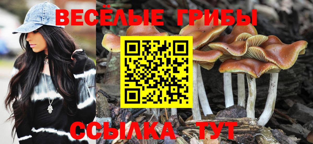 Псилоцибиновые грибы MAGIC MUSHROOMS  Вход с VPN  Ессентуки 