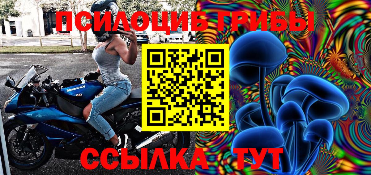 Галлюциногенные грибы Cubensis Ессентуки
